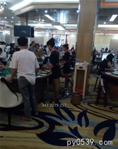 紅中麻將技巧：遇到高手也不懼，十大必勝技巧網(wǎng)址TL99560.com