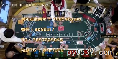 騰龍國際：澳門賭場，年輕人的狂歡！????